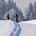 hotalp 15 012
