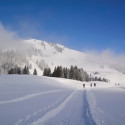 hotalp 15 015