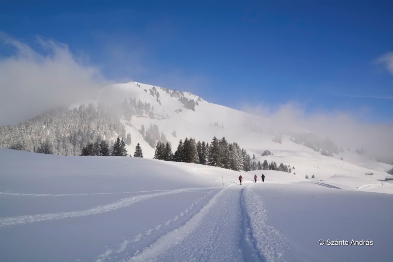 hotalp 15 015