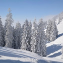 hotalp 15 022