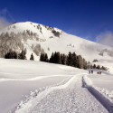 hotalp 15 115