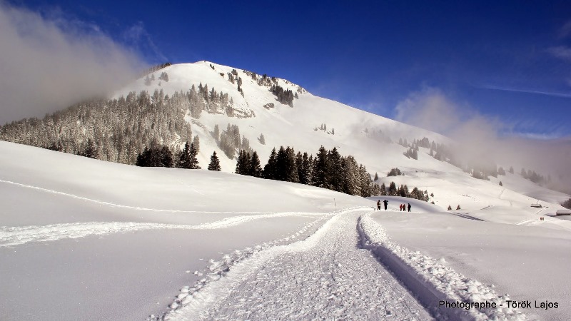 hotalp 15 115