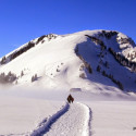 hotalp 15 124
