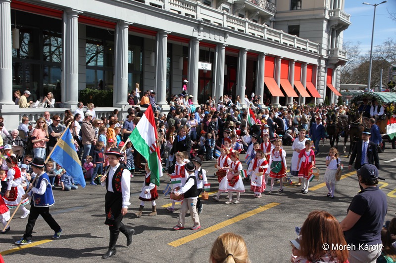 gyerekvonulas 15 051