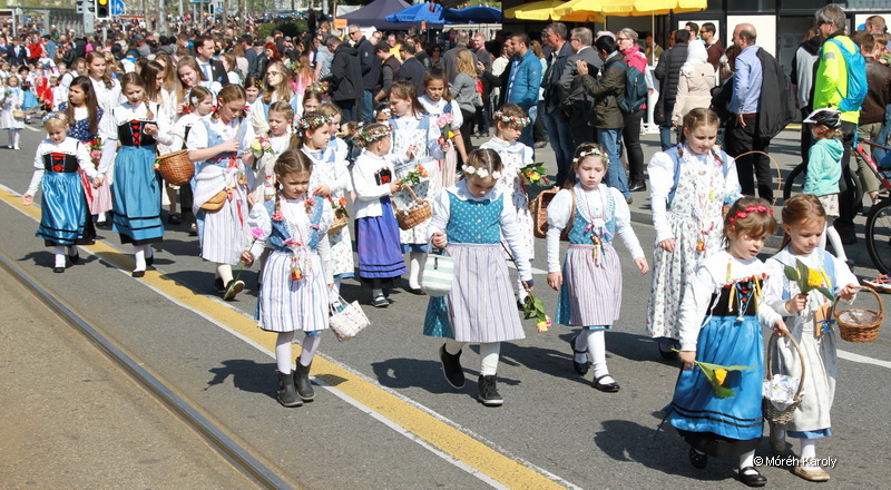 6eleute 17 113
