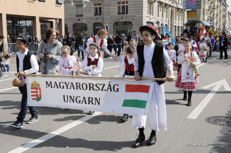 gyrkvnls 19 036