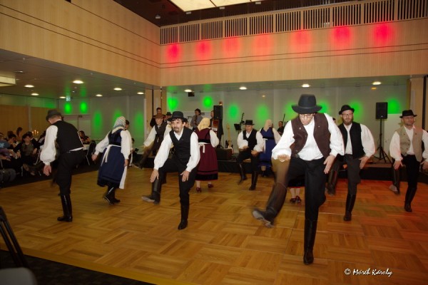 mbal 20 118