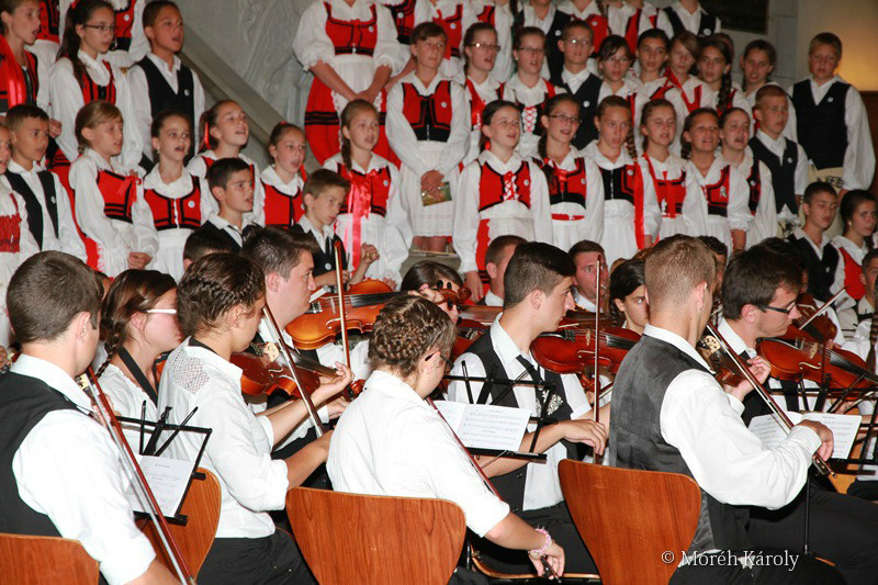fili 013
