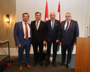 dr sulyok tamas bern