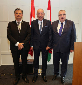 dr sulyok tamas bern