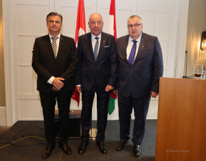 dr sulyok tamas bern