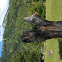 maienfeld 15 018