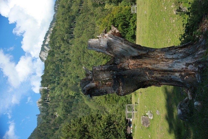 maienfeld 15 018