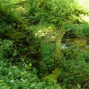 P1090691