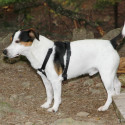 maienfeld 16 066