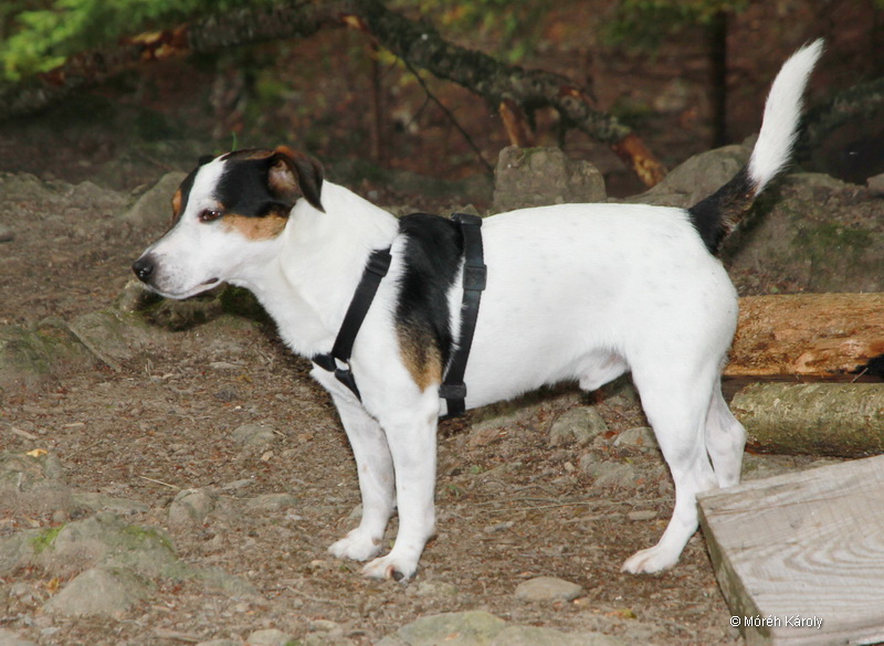 maienfeld 16 066