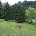 maienfeld 16 077