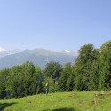 mainfld 12 050