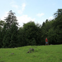 mainfld 12 108