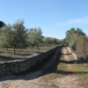 fatima 04