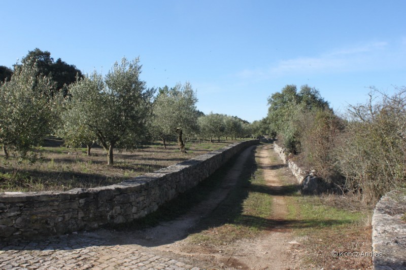 fatima 04