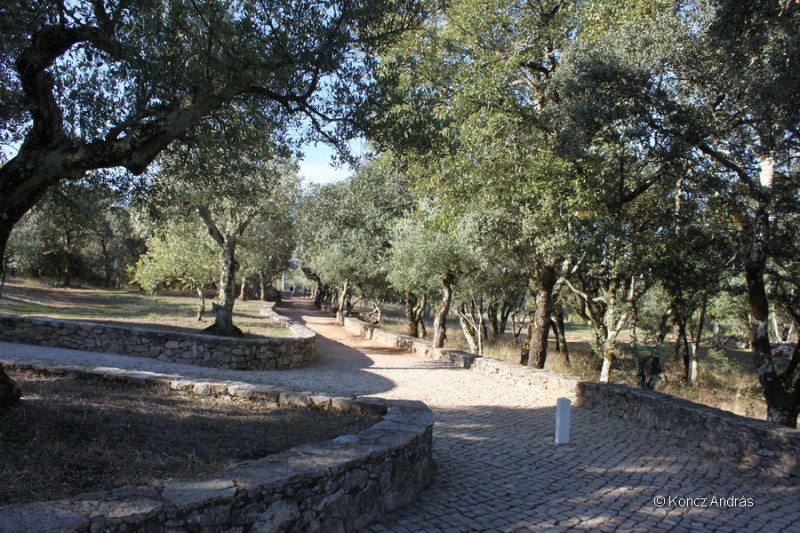 fatima 09