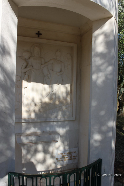 fatima 14