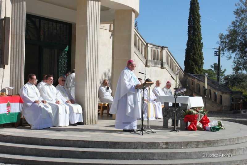 fatima 20