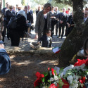 fatima 28