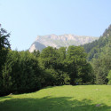 mainfld 12 135