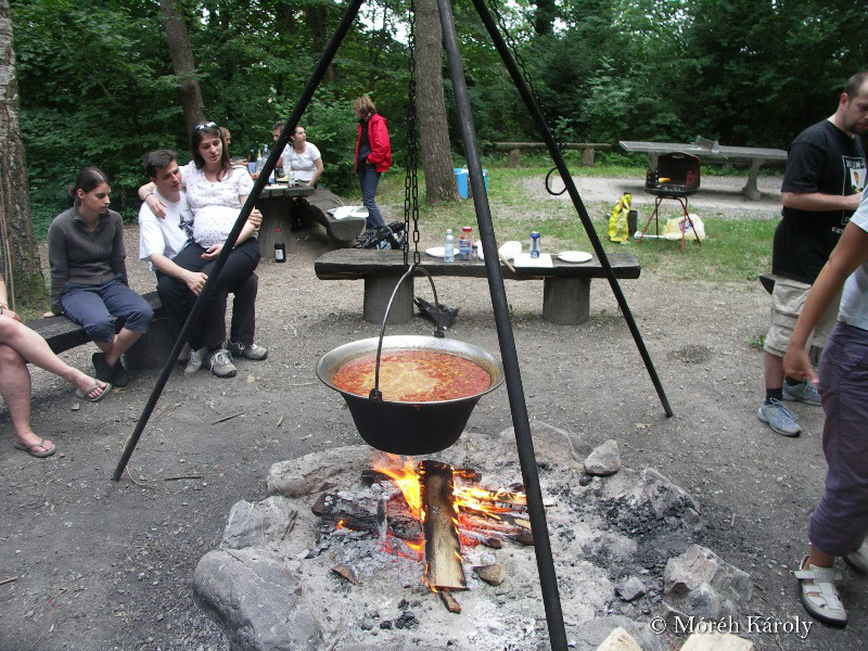 Andelfingen 055