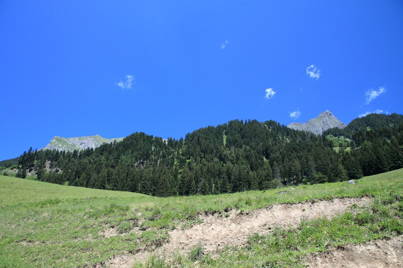 maienfeld 11 112