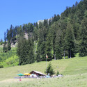 maienfeld 11 113