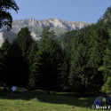 mfeld 042