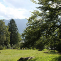 maienfeld 14 013