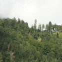 maienfeld 14 032