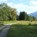 maienfeld 14 033