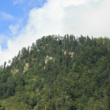 maienfeld 14 034