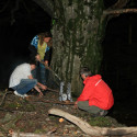 maienfeld 14 095