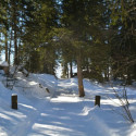 DSC 1396