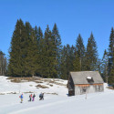 DSC 1403