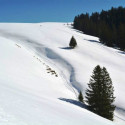 DSC 1463