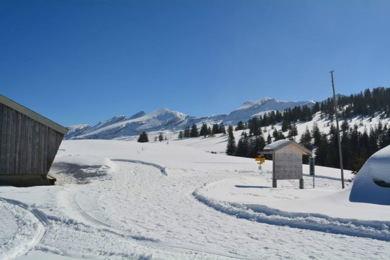 DSC 1470
