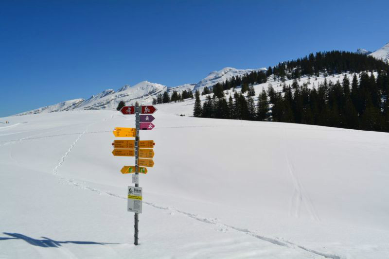 DSC 1550